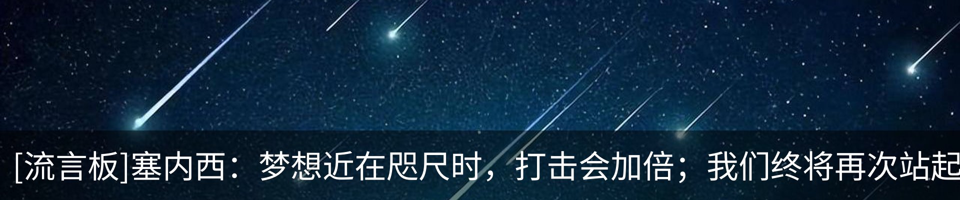新闻动态